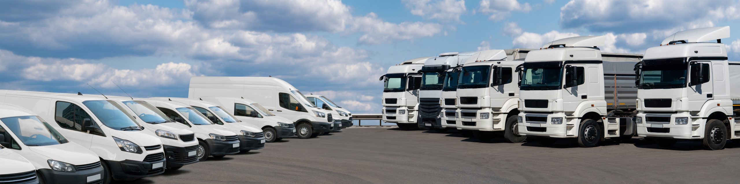 Semi trucks and delivery vans are parked in rows. Commercial fle
